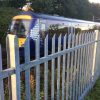 A Lochrin Classic fence installed alongside a railway.