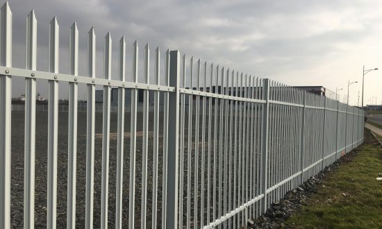 Lochrin Combi fencing used on a regeneration site.
