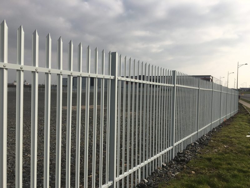 Lochrin Combi fencing used on a regeneration site.