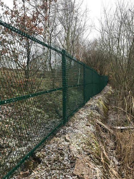 Lochrin ExGUARD™ expanded metal fencing.