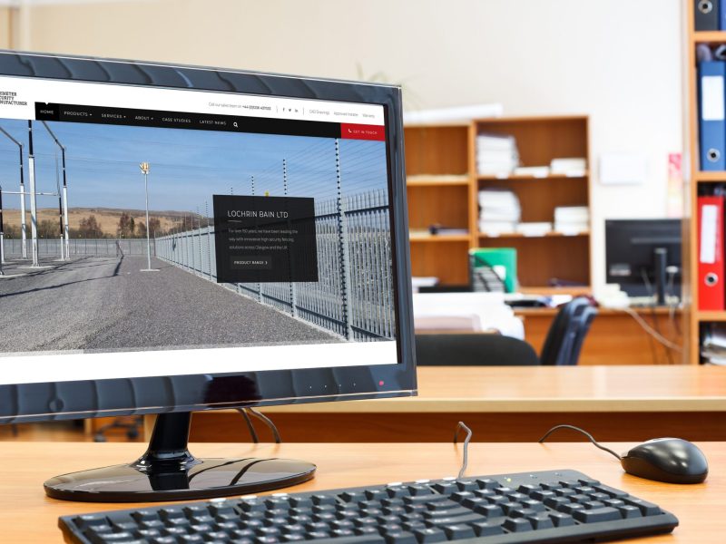 A screenshot of Lochrin Bain's new website.
